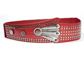 Ceinture en similicuir Zephyr - Plusieurs couleurs
